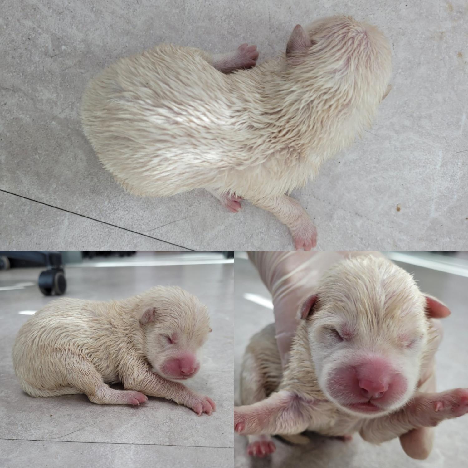 논산시 동물보호센터_444454202300904